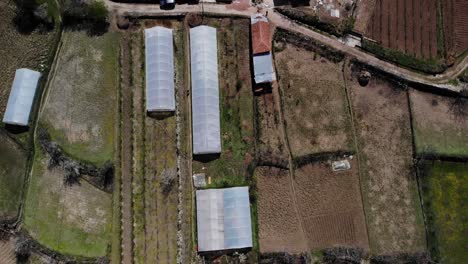 Greenhouses-on-agricultural-parcels-near-village-houses,-top-down-view