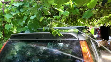 Homemade-rear-windshield-washing-with-hose-water-jet-under-grapevine-shade-home-garage-in-4k