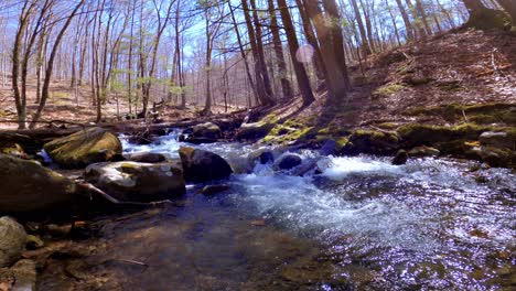 -A-beautiful,-fresh-woodland-stream-during-early-spring,-after-snow-melt,-in-the-Appalachian-mountains