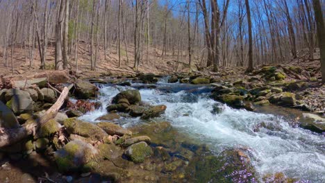 -Nature-time-lapse-of-a-beautiful,-fresh-woodland-stream-during-early-spring,-after-snow-melt,-in-the-Appalachian-mountains