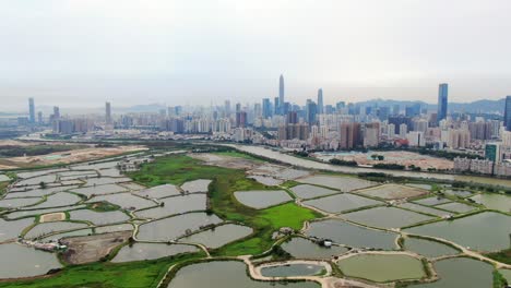 Vista-Aérea-Sobre-El-Paisaje-Urbano-De-Shenzhen-Con-Un-Desarrollo-Urbano-Masivo-Y-Rascacielos
