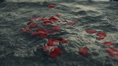 Schöne-Rote-Rosenblätter,-Die-Auf-Den-Wellen-Schwimmen---Nahaufnahme-In-Zeitlupe