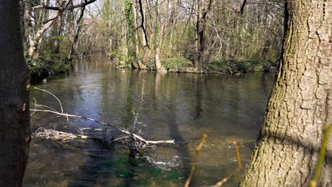 Pantano-Natural-Con-Agua-Clara-Y-Algunos-árboles-En-Un-Día-De-Primavera
