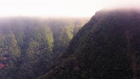 Aerial-drone-shot-of-gigantic-overgrown-mountains-during-foggy-and-sunny-day-on-Madeira-Island,Portugal