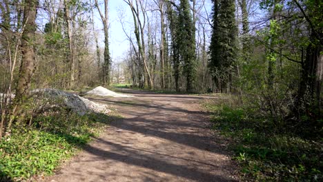 Eine-Vorwärtsbewegung-Auf-Einem-Waldweg-Mit-Bäumen-Und-Steinhaufen-Im-Frühling
