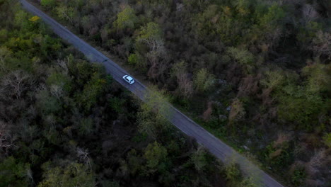 Drohnenaufnahme-Nach-Einem-Weißen-Auto,-Das-Durch-Den-Wald-In-Der-Nähe-Von-Merida-Mexiko-Fährt