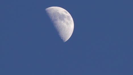 Daytime-closeup-of-quarter-moon-rising