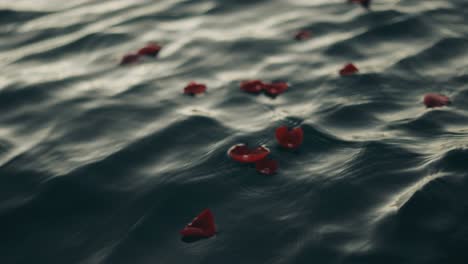 Rote-Rosenblätter-Im-Ozean---Nahaufnahme