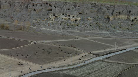 People-And-Herd-Of-Sheep-On-The-Field-Near-Shahr-e-Gholghola-In-Bamyan,-Afghanistan