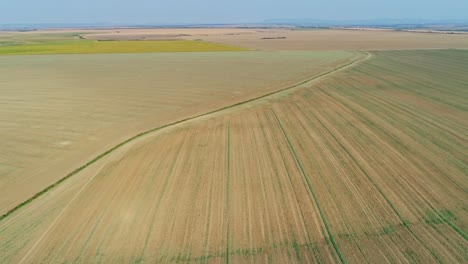 Aerial-drone-shot-of-a-fertilized-soil-after-a-tractor-prepared-the-land