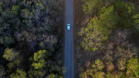 Drone-shot-of-a-white-car-driving-in-the-forest-near-Merida-Mexico