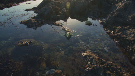 Subtle-reveal-of-sun-kissed-rock-pool-during-low-tide-near-coast