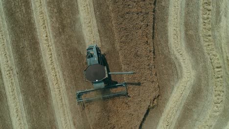 Aerial-drone-360-top-view-of-a-black-combine-harvesting-rapeseed