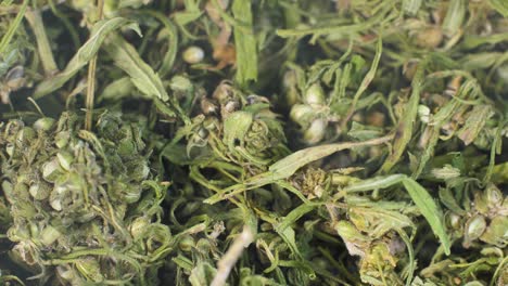 Knospen-Und-Blätter-Von-Medizinischem-Marihuana