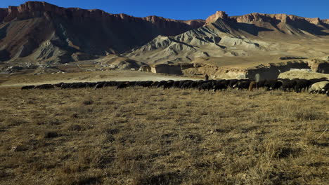 Local-Shepherd-With-His-Sheep-In-Band-e-Amir-National-Park-At-Daytime-In-Afghanistan---drone-shot