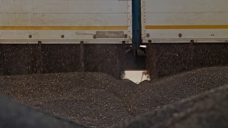 Close-up-of-unloading-sunflower-seeds-from-the-trailer-after-harvesting-with-dust