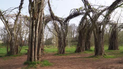 4K-willow-cathedral-sculpture-in-taunton-somerset-with-no-leafs