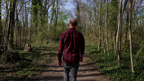 Man-Walks-on-Trail-in-Forest,-Folowing-Shot-from-Behind-on-Sunny-Day