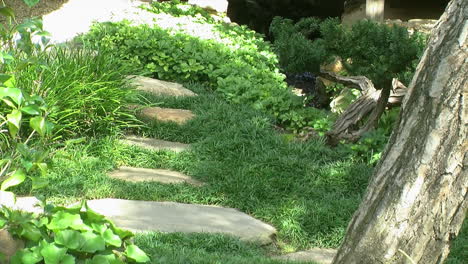 Pathway-of-stepping-stones-in-a-Japanese-garden