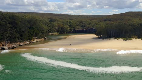 Lush-Vegetation-Surrounding-Wattamolla-Beach-At-Royal-National-Park-In-New-South-Wales,-Australia---aerial-drone-shot