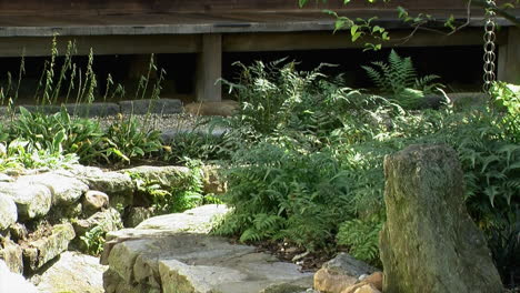 A-stone-lined-drainage-channel-bordered-by-ferns-in-a-Japanese-garden