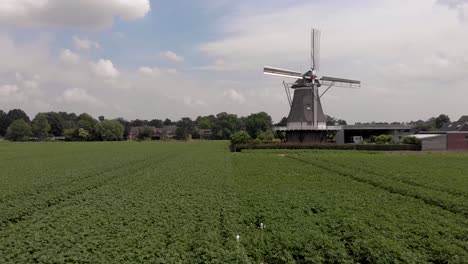 Luftannäherung-Einer-Typischen-Malerischen-Holländischen-Windmühle-Mit-Dochten-In-Der-Landschaft-Der-Niederlande-über-Landwirtschaftlichen-Feldern-Mit-Blauem-Himmel-Und-Malerischen-Kumuluswolken-Im-Hintergrund