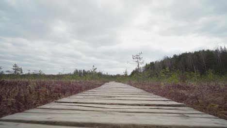 Low-Angle-View-of-Wooden-Path-in-Varnikai-Cognitive-Walking-Way