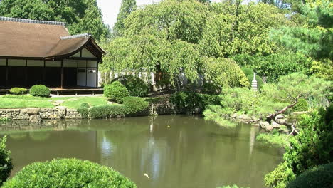 Ein-Koiteich-Vor-Einem-Japanischen-Haus