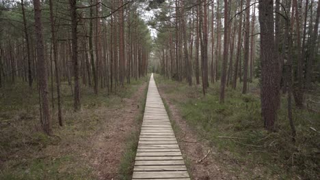 Zu-Fuß-Durch-Den-Kognitiven-Wanderweg-Von-Varnikai-An-Einem-Bewölkten-Und-Düsteren-Tag-In-Trakai