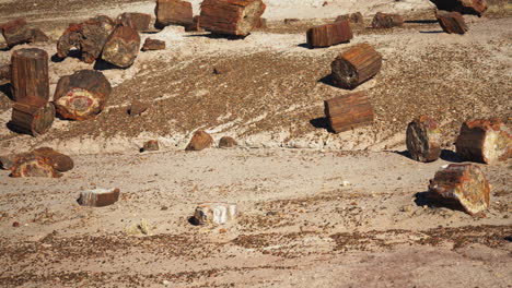 View-of-ground-strewn-with-petrified-logs-in-Petrified-Forest-National-Park