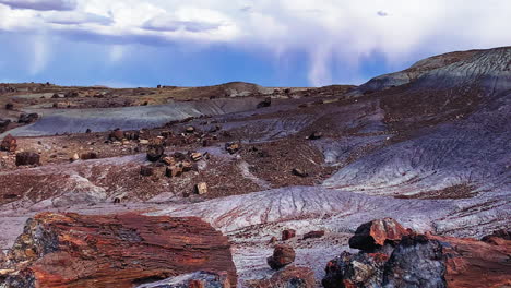Static-shot-of-Crystal-Forest-at-Petrified-Forest-National-Park