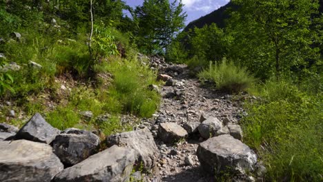 Hiking-path-on-mountains-of-Albania,-rocky-slope-and-green-wild-forest-of-Alps