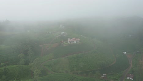 Aerial-through-mist-revealing-green-tea-plantation-in-Hatton,-Sri-Lanka