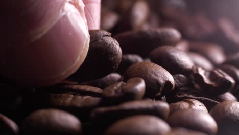 Fingers-picking-Coffee-Beans-at-industrial-factory,-extreme-close-up