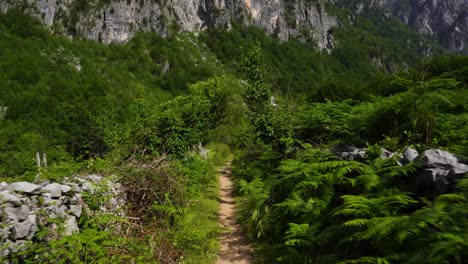 Ruta-De-Senderismo-A-Través-De-Paredes-De-Piedra-Y-Vegetación-Verde-En-El-Hermoso-Valle-Alpino-En-El-Norte-De-Albania