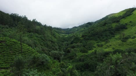 Exuberante-Paisaje-Verde-De-La-Selva-Con-Río-En-El-Valle-Y-Montañas-Tropicales