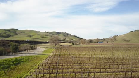 Aerial-shot-of-Californian-vineyard,-remote-countryside-on-summer-day