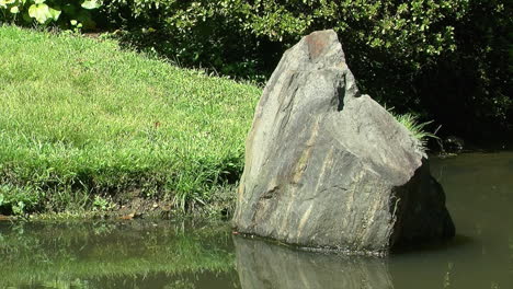 Decorative-rock-stands-near-the-edge-of-a-pond