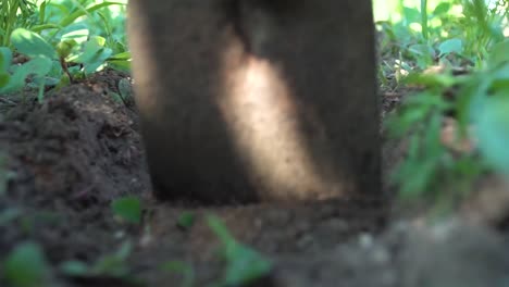 Digging-a-hole---close-up