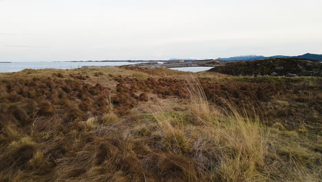 Dry-Beach-Grass-At-The-Coastline-Revealed-Atlantic-Ocean-Road-In-Atlanterhavsveien,-Norway