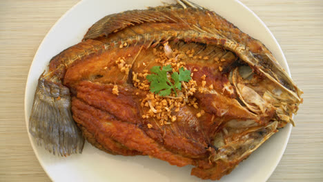 Fried-Sea-Bass-Fish-with-Garlic-on-plate