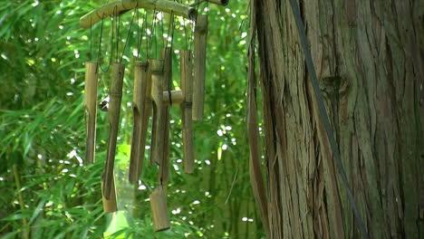 Bamboo-wind-chimes-hang-from-a-hinoki-tree