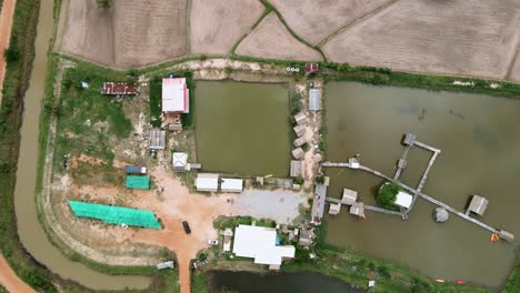 Luftbild-Vom-Dach-Eines-Kleinen-Hauses-Inmitten-Von-Reisfeldern-Und-Einem-Teich