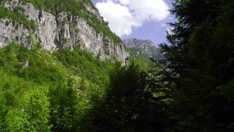 Hiking-through-green-forest-trees-on-the-bottom-of-high-mountains-in-Albanian-Alps