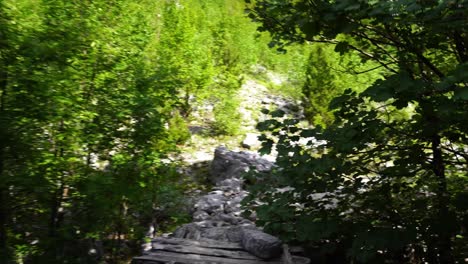 Holzbrücke-über-Den-Bach-Auf-Dem-Wanderweg-Zu-Den-Bergen-In-Den-Albanischen-Alpen