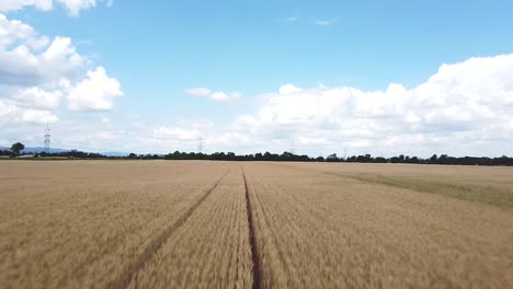 Fast-backward-drone-flight-over-a-wheat-field-blue-sky-with-clouds