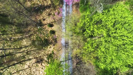 An-Aerial-Down-Angle-View-of-a-Wooded-Area-with-a-Lonely-Single-Rail-Road-Track