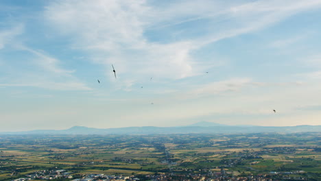 Luftlandschaft-Der-Toskanischen-Hügel-Natürliches-Umweltszenario-Mit-Vogelschwarm,-Der-In-Den-Himmel-Fliegt,-Und-Gepflügtem-Weinfeld-In-Italien