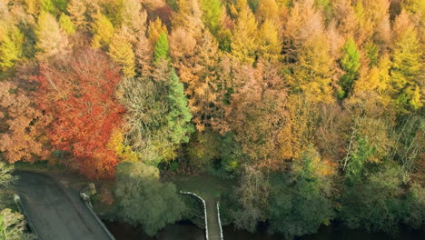 North-York-Moors,-Yorkshire,-River-Esk-Drone-Footage,-flight-over-Beggars-Bridge-Glaisdale,-Brown-and-Red-Autumnal-trees,-Phantom-4-aerial---Autumn-Clip-11