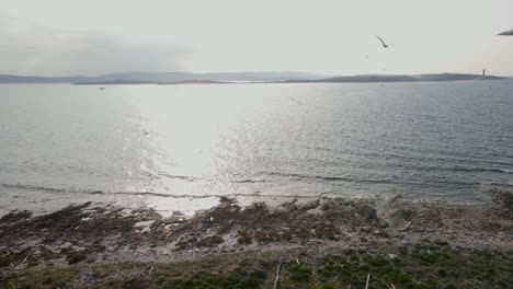 Flock-of-Seagulls-flying,-seascape-with-sunbeam,-Dugi-Otok,-Croatia